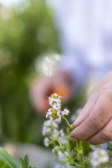 La Table de Mary · Restaurant Gastronomique Yverdon
